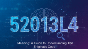 52013l4 Meaning